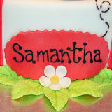 Lady Bug Cake 2-20-10 023.jpg