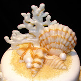 Turquoise Seashell Cake 3-7-10 046.jpg