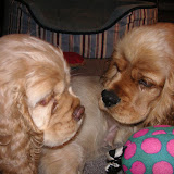 PICT2817.JPG