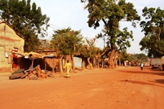IMG_0093 IMG_0093