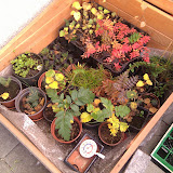 2010_mblogtorfason