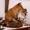 DSC00039.JPG