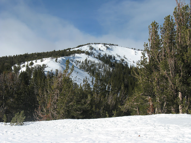 Photo of  Tamarack Peak 2011-01-16