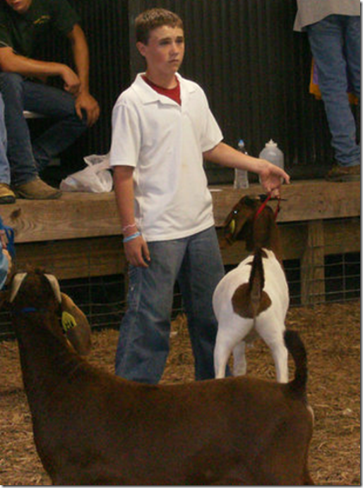 kane showing goat