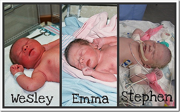 baby collage