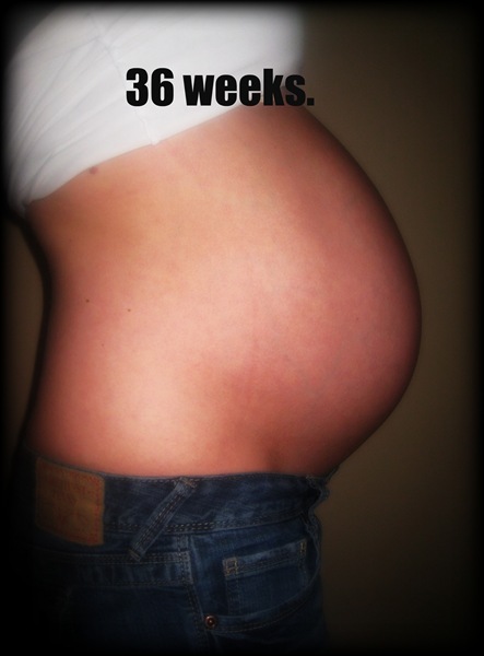 [36 weeks[6].jpg]
