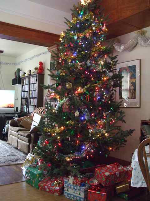 Xmas Tree.jpg
