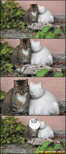 http://lh3.ggpht.com/_D0srPgfTCSc/TP5xkDhAZ1I/AAAAAAAAAF8/HA8eWy8nRIQ/s512/gato_alone.jpg