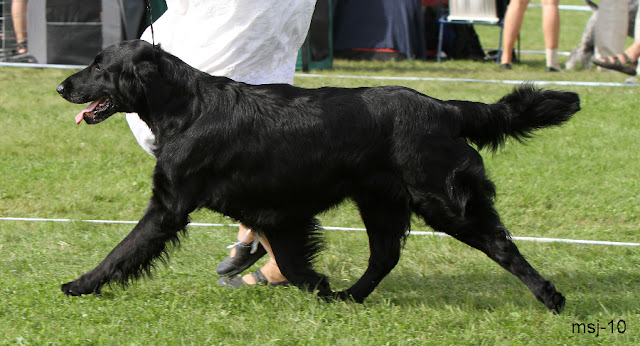 berenas-black-magiq1.jpg