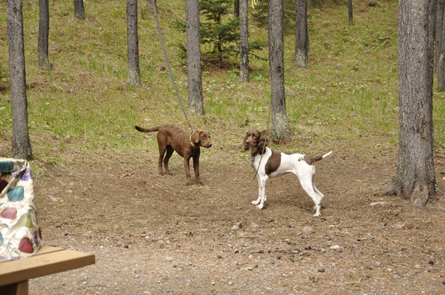 [Playtime[3].jpg]