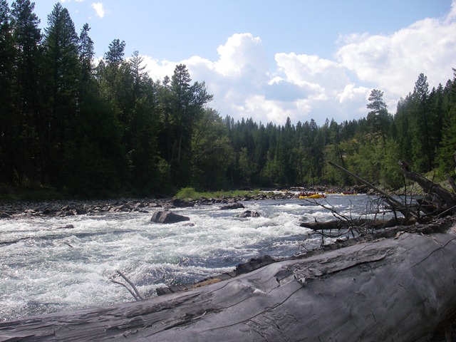 [IMGP02255.jpg]