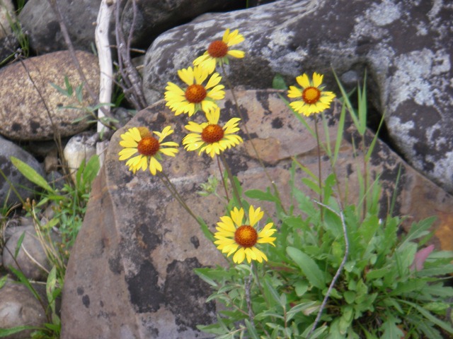 [IMGP02233.jpg]