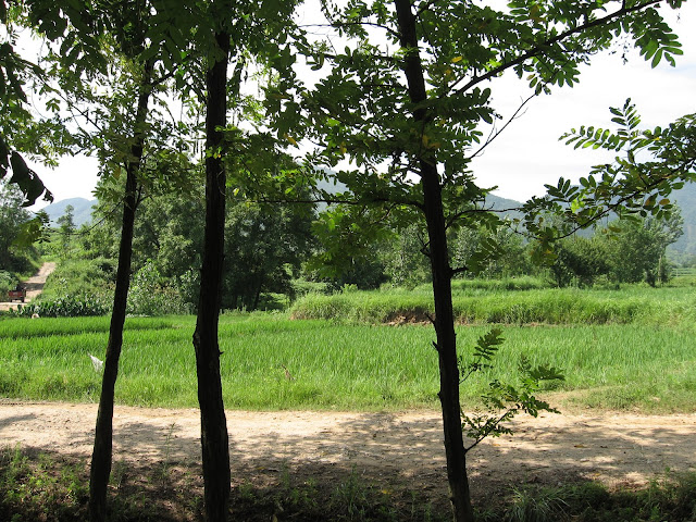IMG_0198.JPG
