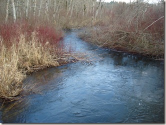 Shawnigan creek (4) [50%]