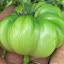 Tomato 'Purple Calabash' 