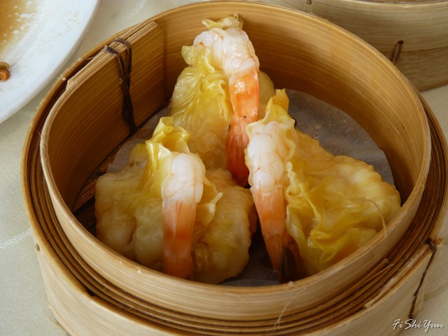 [P1030137[4].jpg]