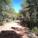 imagen mountain bike