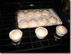 IMG_7209 IMG_7209