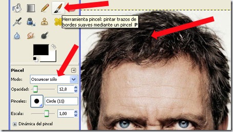 Quitando canas con el pincel de Gimp Quitando canas con el pincel de Gimp