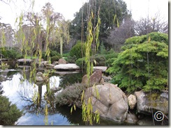 IMG_1713 IMG_1713