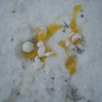 DSCN0681.JPG