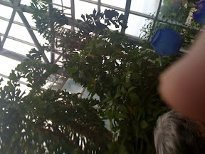 Posted via web from gregvedders's posterous