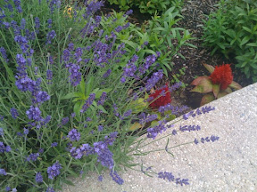 Posted via web from gregvedders's posterous