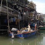 Bootsfahrt in Tai O - 5