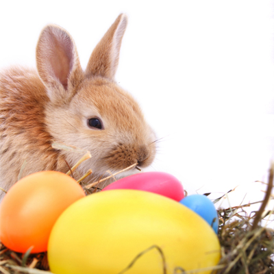 easter-bunny-400x400.jpg