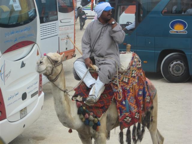 [Giza Camel Ride Vendor (Small)[2].jpg]