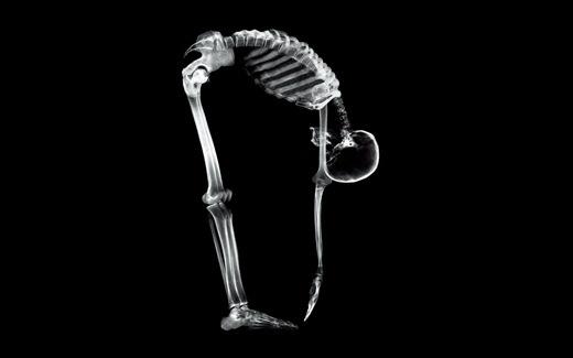 X Ray View Desktop Wallpaper X Ray
View Desktop Wallpaper