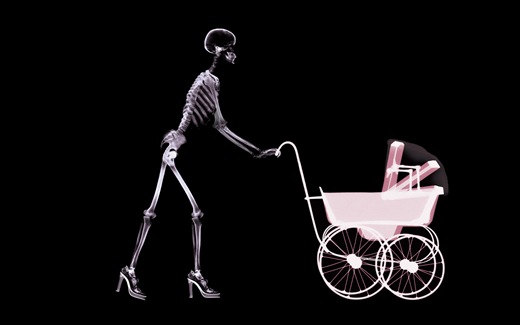 X Ray View Desktop Wallpaper X Ray
View Desktop Wallpaper