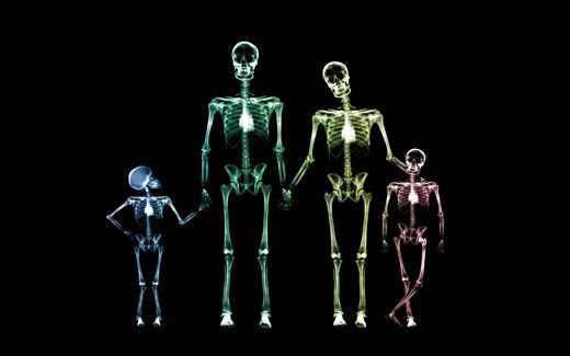 (35)HD-X-Ray-View-Desktop-Wallpaper-happy-family