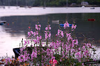 Plockton