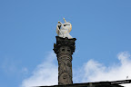 El unicornio es el s&iacute;mbolo de la Corona