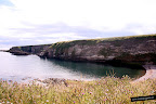 Fowlsheugh Seabird Colony, Crawton