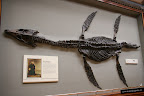 Museo de la Ciencia