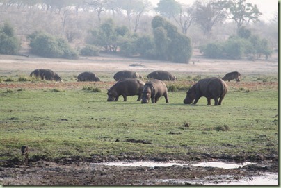 IMG_3464 IMG_3464