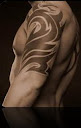 Tribal 

Tattoo Designs Pictures Gallery