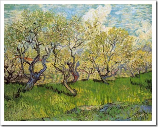 orchard-blossom-6_5000