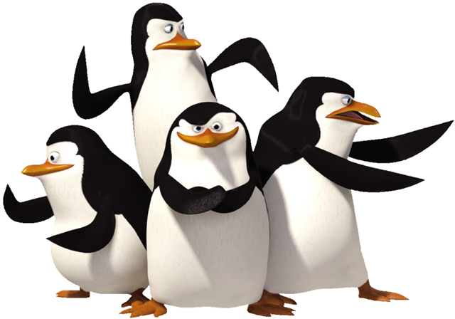 [image11[1][1].png]