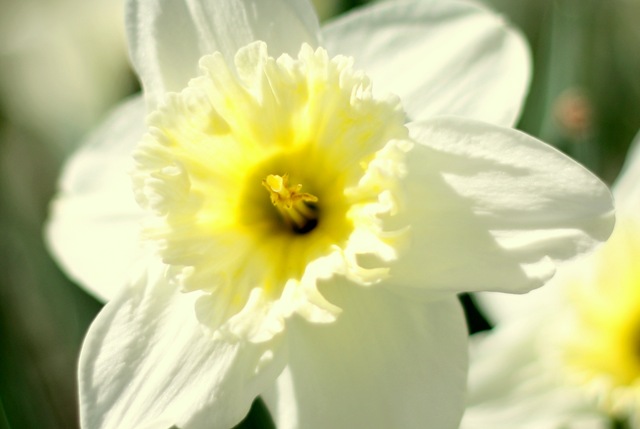 [IMG_800324.jpg]
