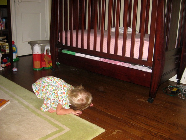 [finding pacis 081710 (2)[2].jpg]