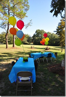 blair's 2nd bday aunt linnie pics 100910 (3)