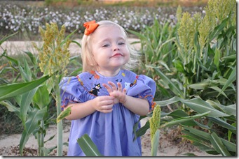 grain saugrum and halloween dress 101510 (7)