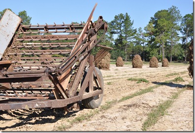 peanut stacks 100410 (45)