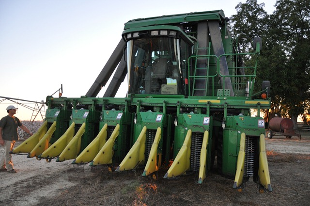 [cotton picker 2010 (3)[2].jpg]