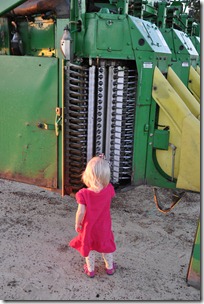 cotton picker 2010 (6)