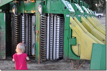 cotton picker 2010 (10)