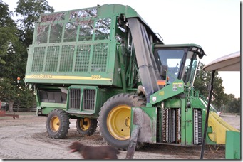 cotton picker 2010 (19)